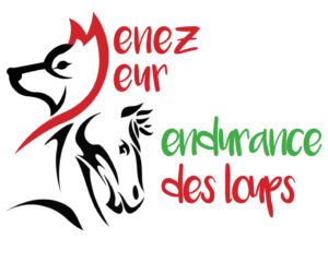 Endurance équestre du Menez Meur.
