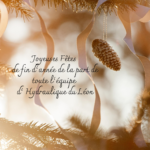 joyeuses fêtes de fin d'année